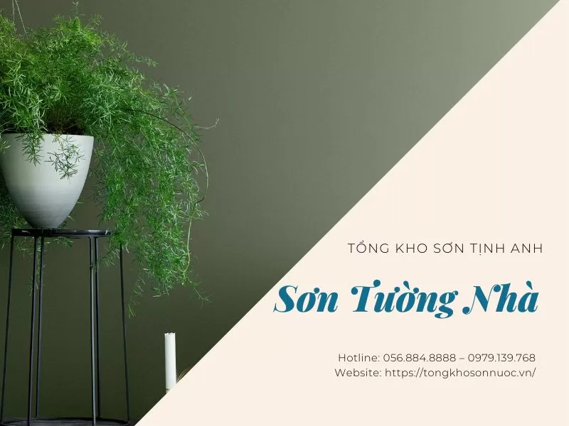 Son-tuong-nha-_tongkhosontinhanh-1