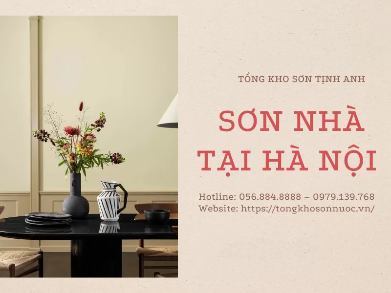 Son-nha-tai-Ha-Noi-_tongkhosontinhanh-1