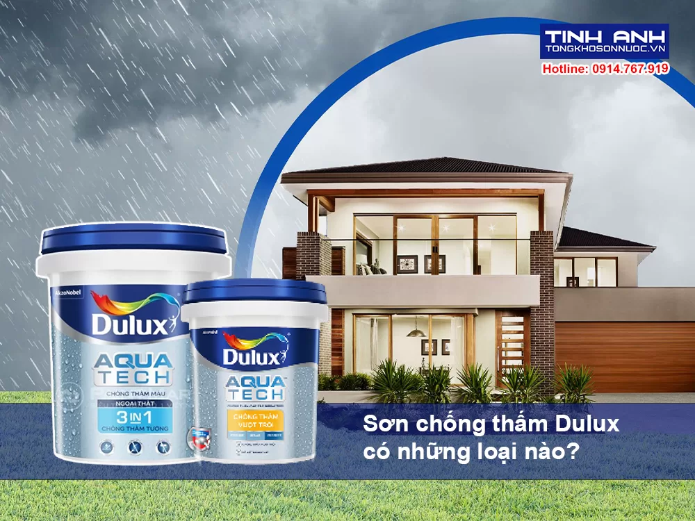 sơn chống thấm Dulux có những loại nào