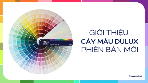 Cây màu Dulux CP5 mới nhất