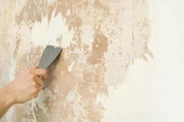 Nắm vững kỹ thuật sơn tường không bả - Tiêu chuẩn nghiệm thu