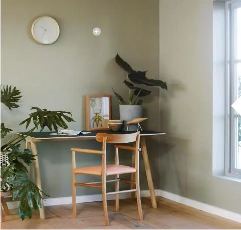 Mã màu sơn Jotun đẹp nhất - Jotun 8252 Green Harmony