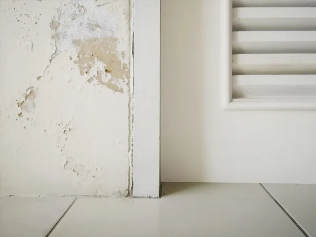 Sơn bị bong tróc