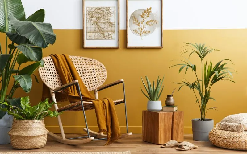 Sơn tường màu vàng đất cùng thảm xanh rêu tạo sự gần gũi với thiên nhiên